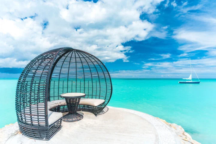 Growth and evolution