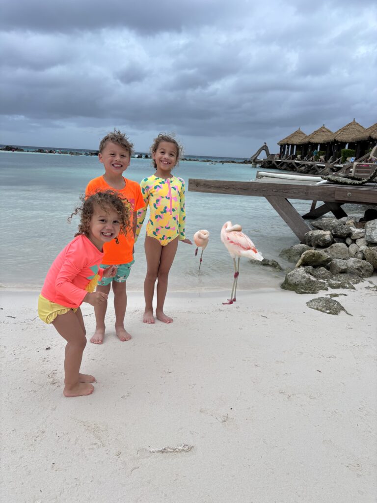 Jorge Luis Hernandez