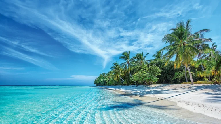 Clear blue waters and a beach with palm trees in the Caribbean